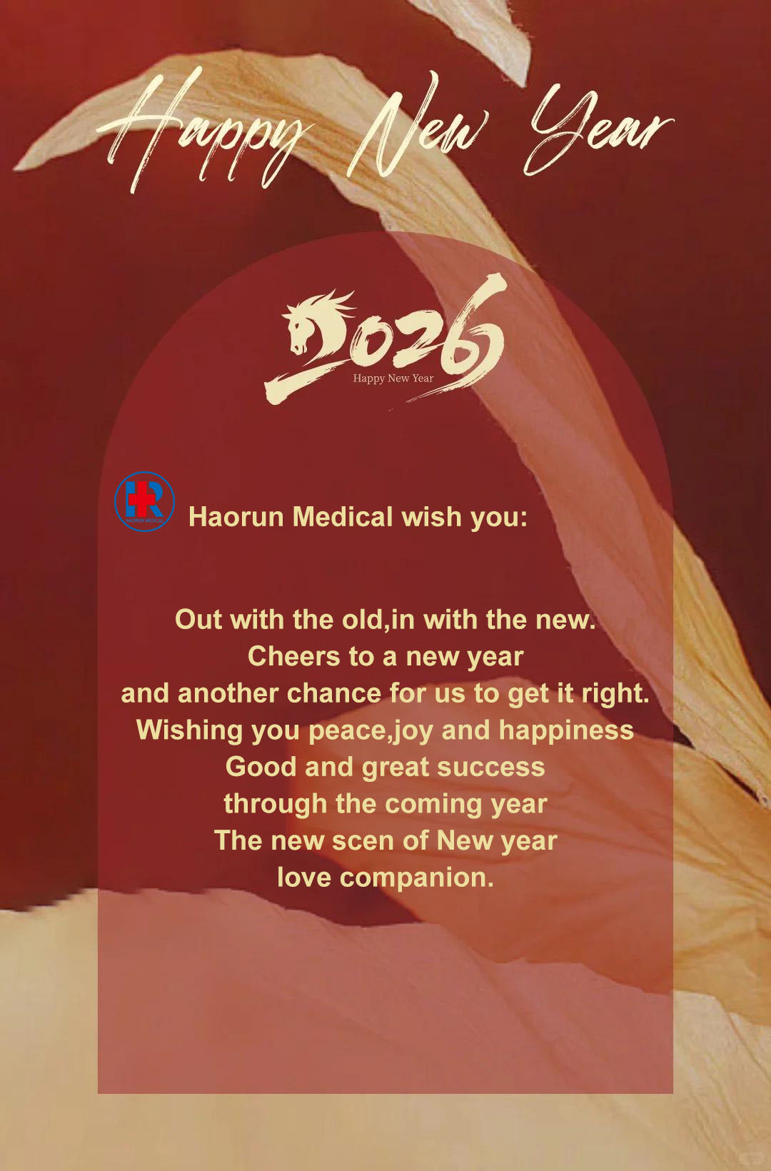Haorun Medical Celebrates Christmas and New Year, Looking Forward to Deepening Cooperation in Global Healthcare